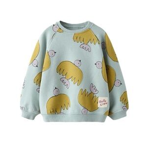 Zara baby size 18-24m bird sweatshirt